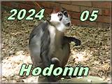 Hodonin 2024